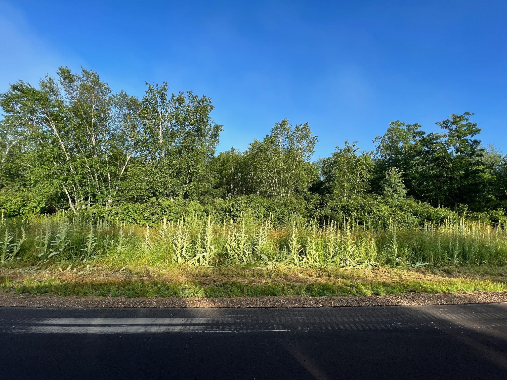 L7-b1 L7-b1 Acorn Ridge Road Northwest Bemidji, MN 56601 - Photo 7 of 9