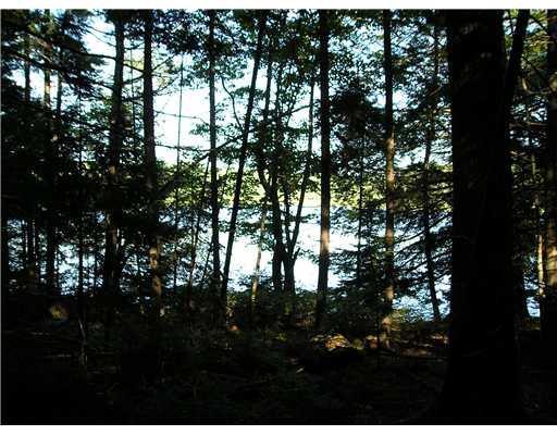 270 Crystal Pond Road Waldoboro, ME 04572 - Photo 3 of 4 Land.