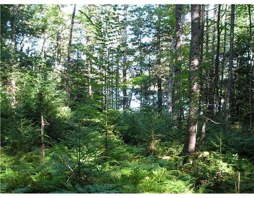 270 Crystal Pond Road Waldoboro, ME 04572 - Photo 4 of 4 Land/Lot.