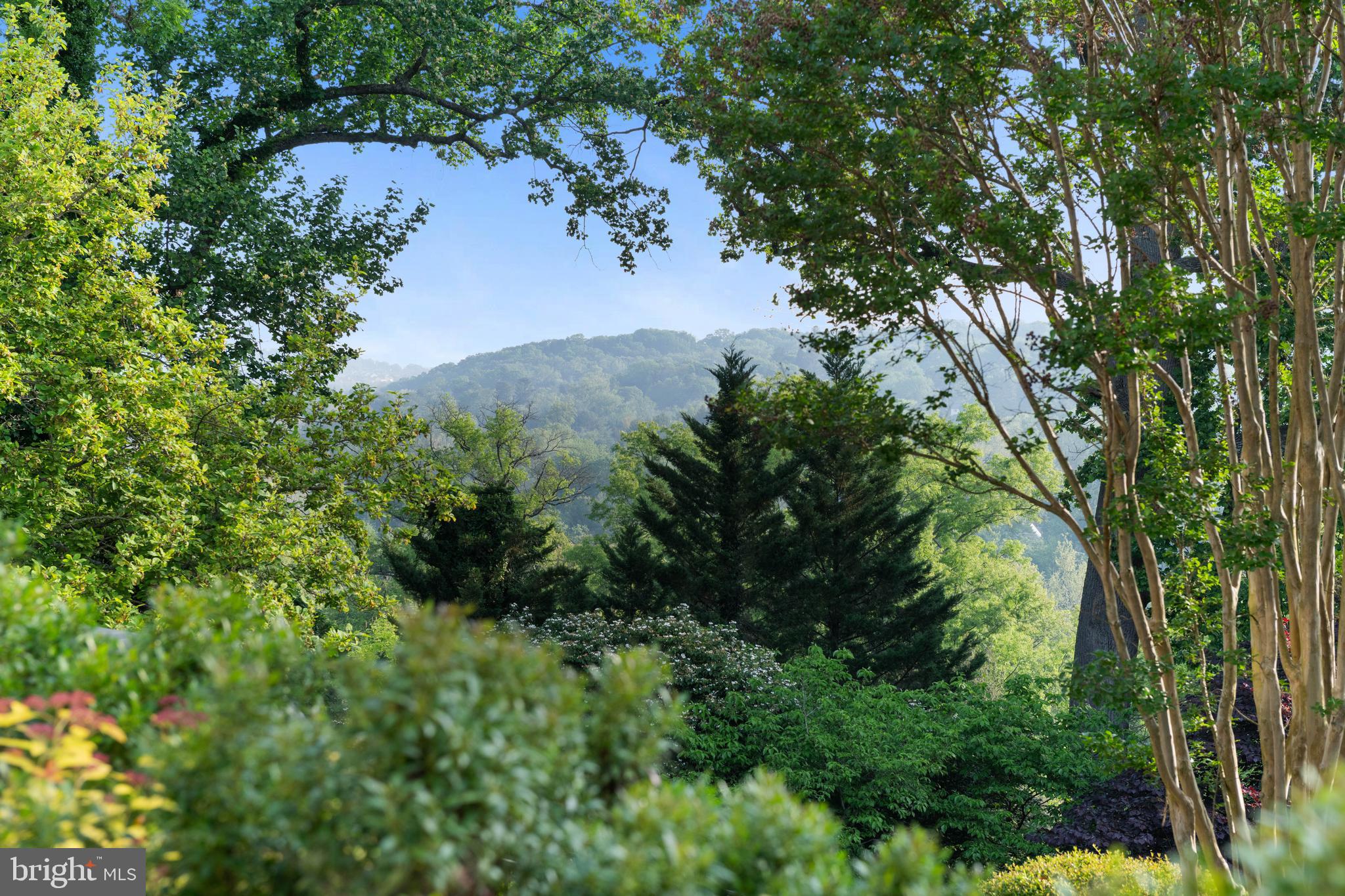 7506 LHirondelle Club Road Towson, MD 21204 - Photo 4 of 56