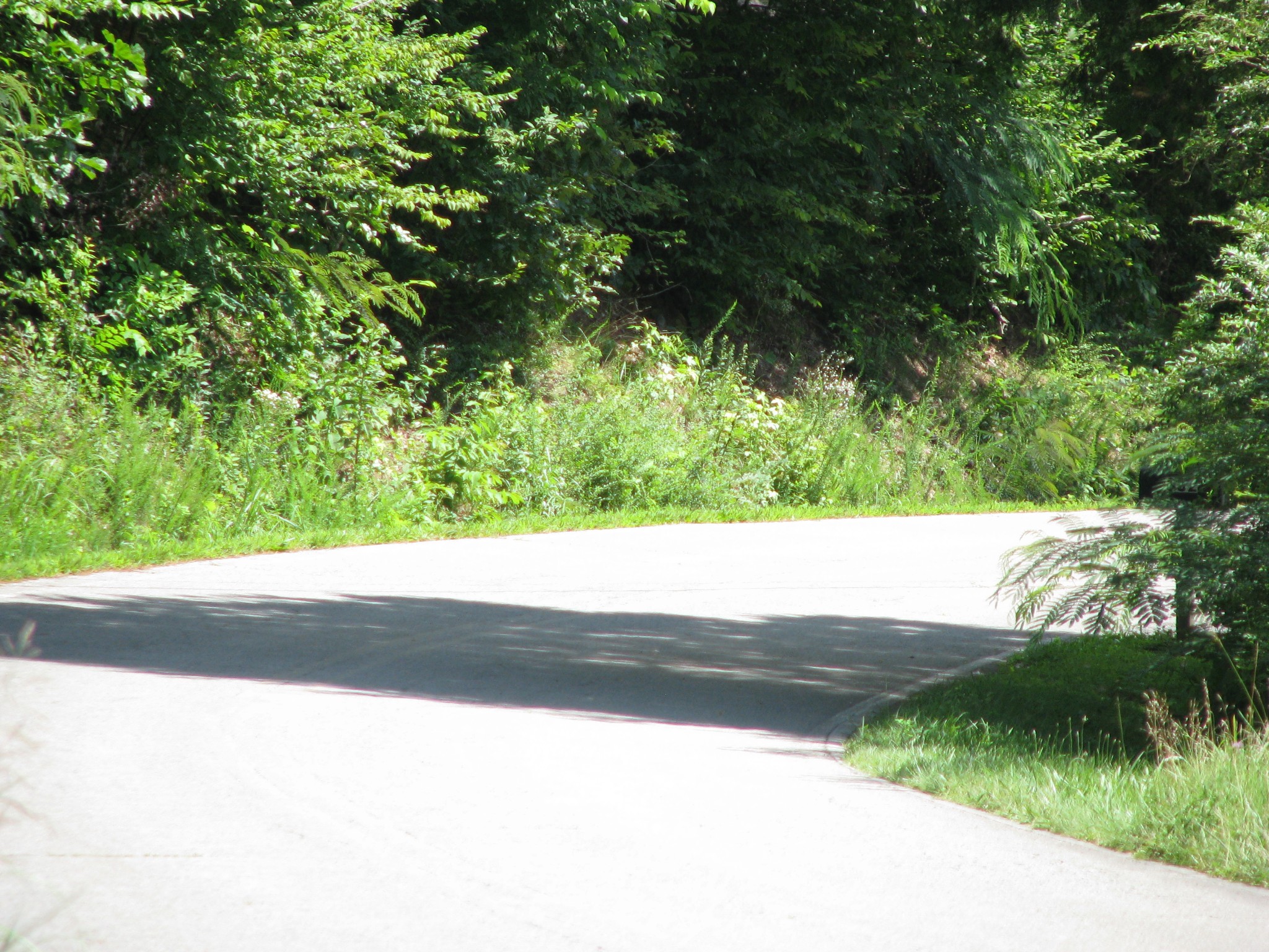 0 Matthews Hollow Road Waverly, TN 37185 - Photo 16 of 19