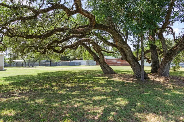 a view of outdoor space with deck and trees