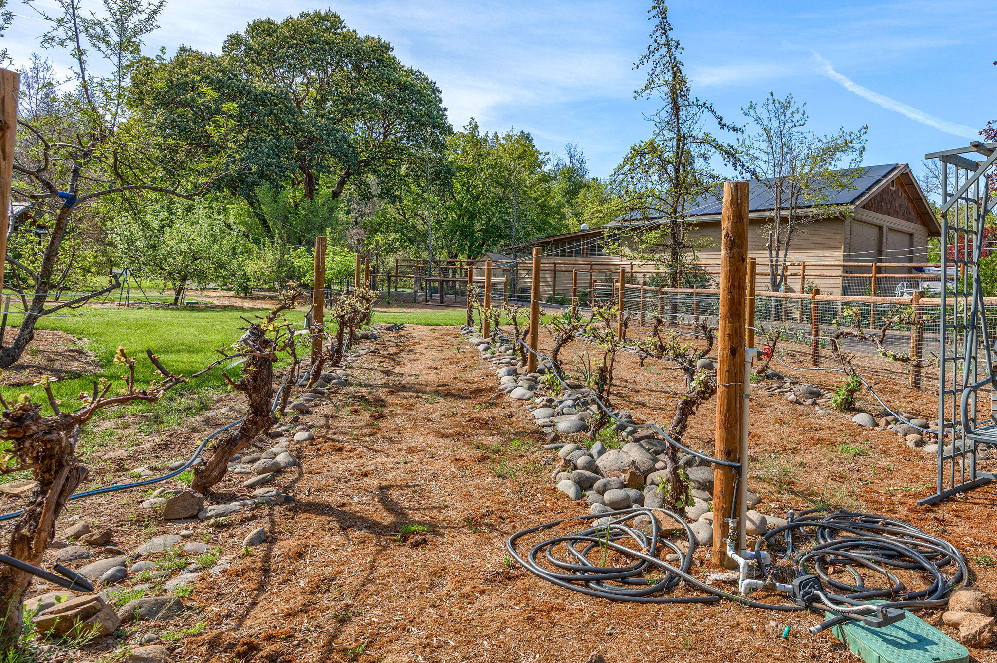 343 Rene Drive Shady Cove, OR 97539 - Photo 65 of 152 Vineyard