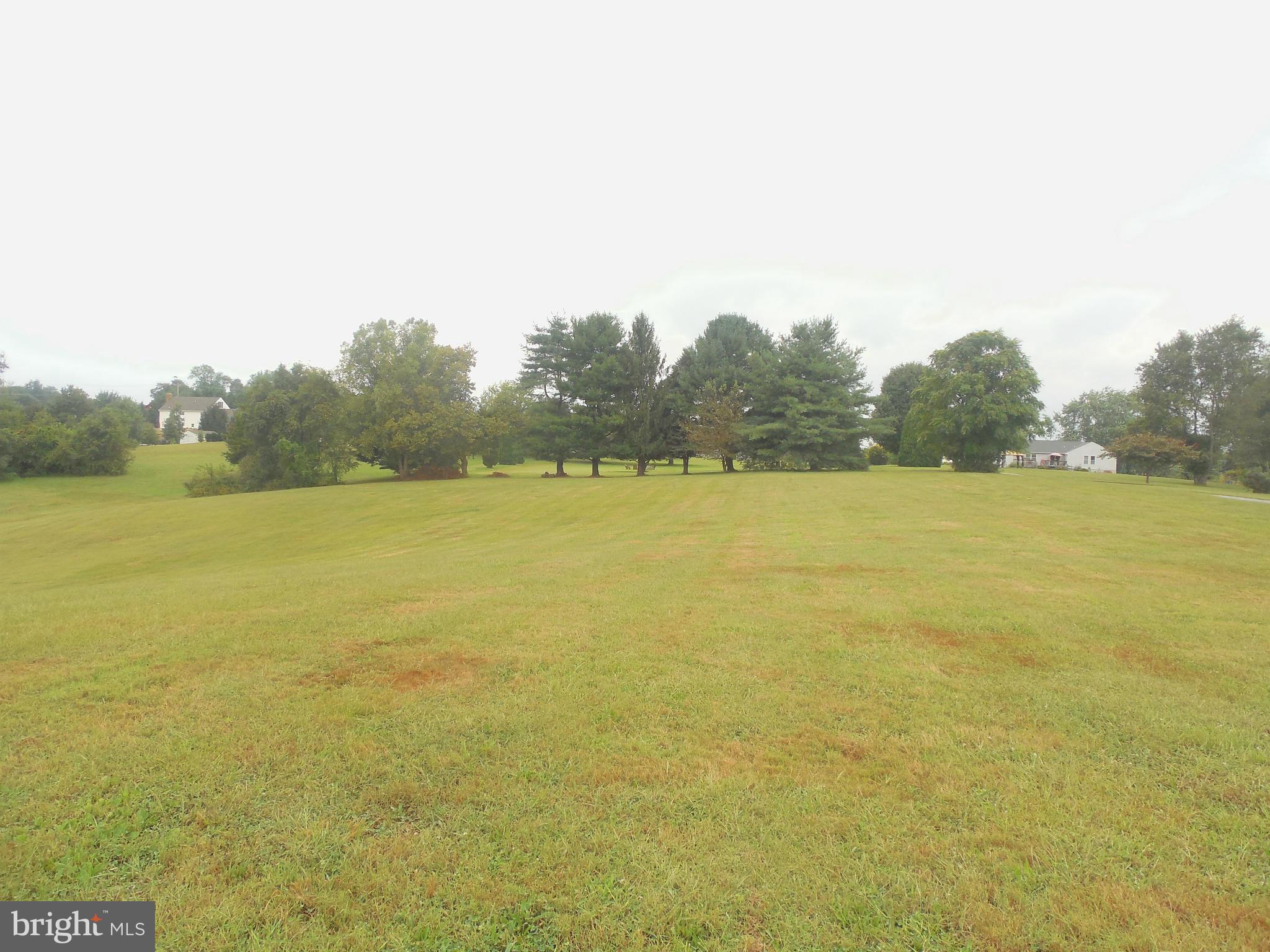 3341 Ady Road Street, MD 21154 - Photo 2 of 5 TREE LINED SIDE OF PROPERTY