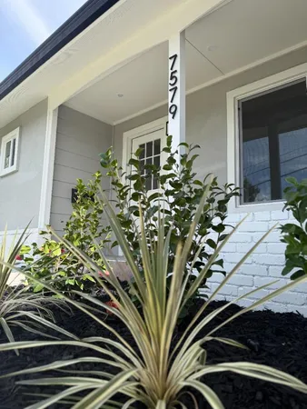 a view of a potted plant in front of a house