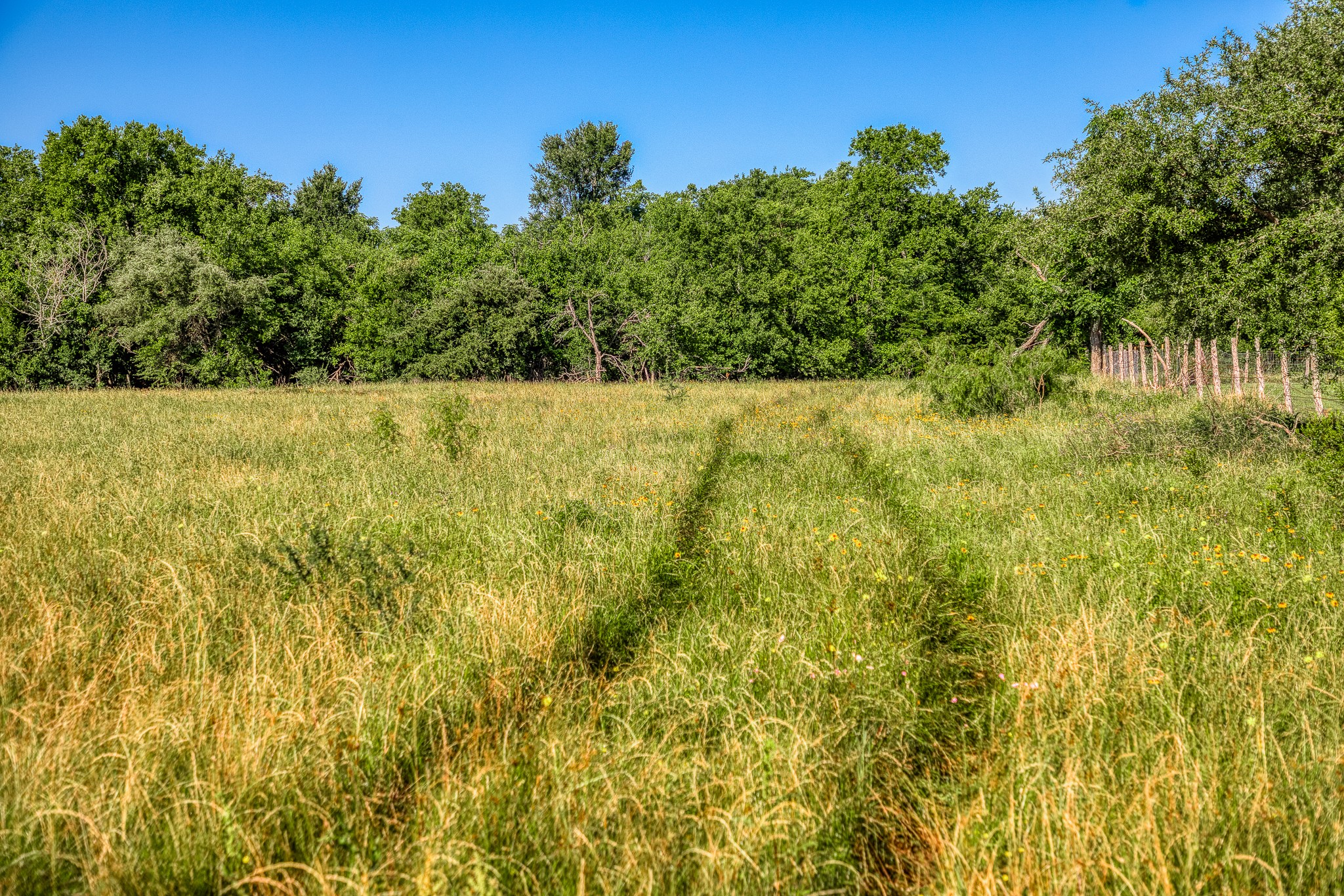 0 Flat Prairie Road Washington, TX 77880 - Photo 8 of 19
