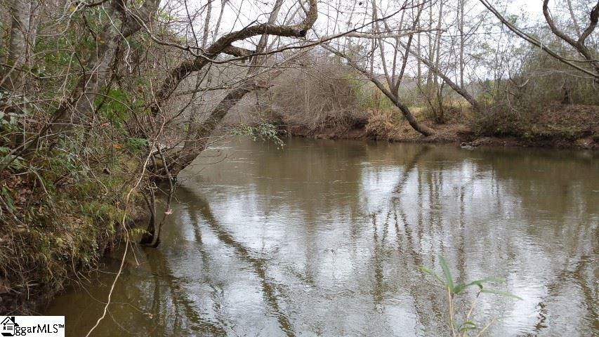 Freeman Bridge Road Marietta, SC 29661 - Photo 2 of 14