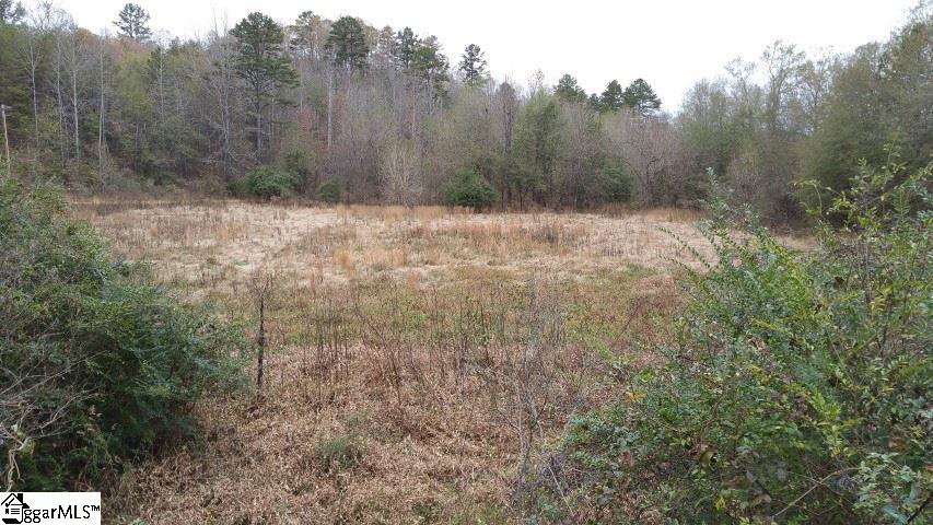 Freeman Bridge Road Marietta, SC 29661 - Photo 11 of 14
