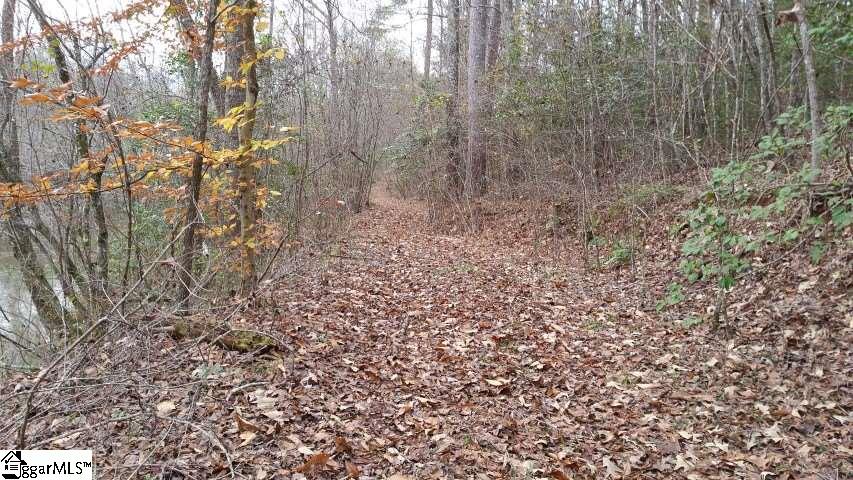 Freeman Bridge Road Marietta, SC 29661 - Photo 3 of 14