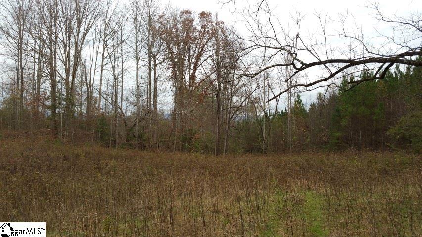 Freeman Bridge Road Marietta, SC 29661 - Photo 5 of 14