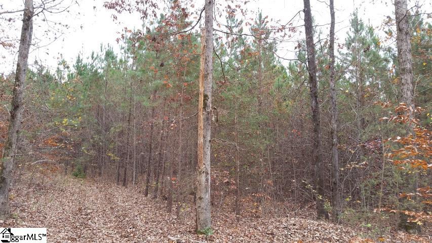 Freeman Bridge Road Marietta, SC 29661 - Photo 6 of 14