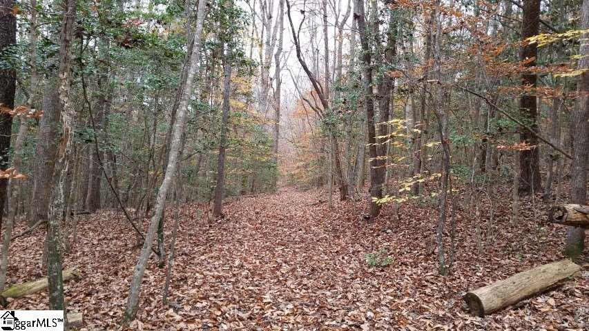 Freeman Bridge Road Marietta, SC 29661 - Photo 7 of 14