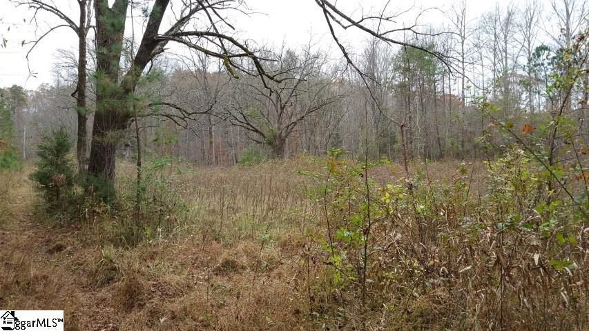 Freeman Bridge Road Marietta, SC 29661 - Photo 9 of 14