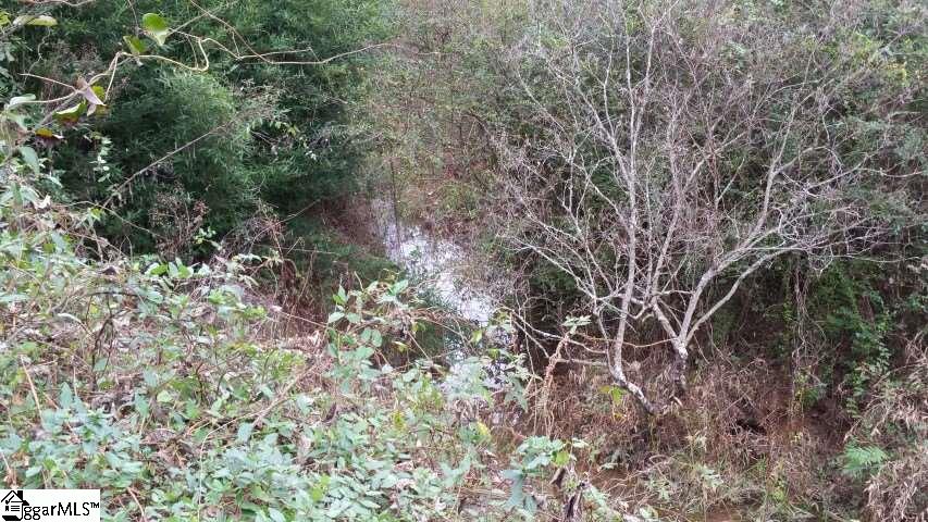 Freeman Bridge Road Marietta, SC 29661 - Photo 10 of 14