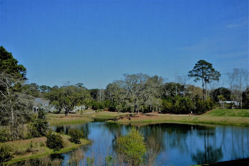 1281 Dingle Road Mount Pleasant, SC 29466 - Photo 2 of 18 Lake view