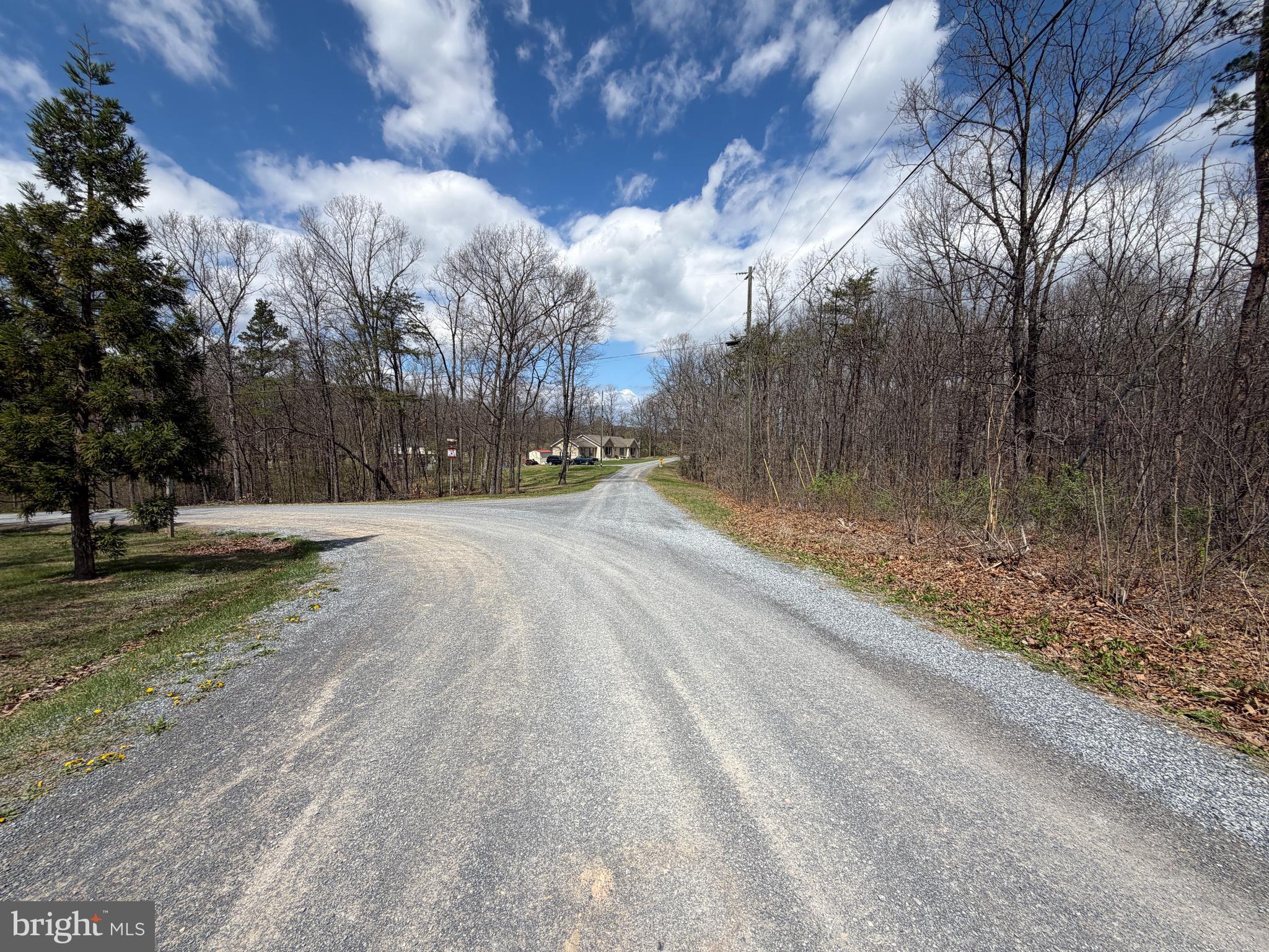 2 Blackthorne Ridge Road Augusta, WV 26704 - Photo 12 of 29 a view of road with with trees