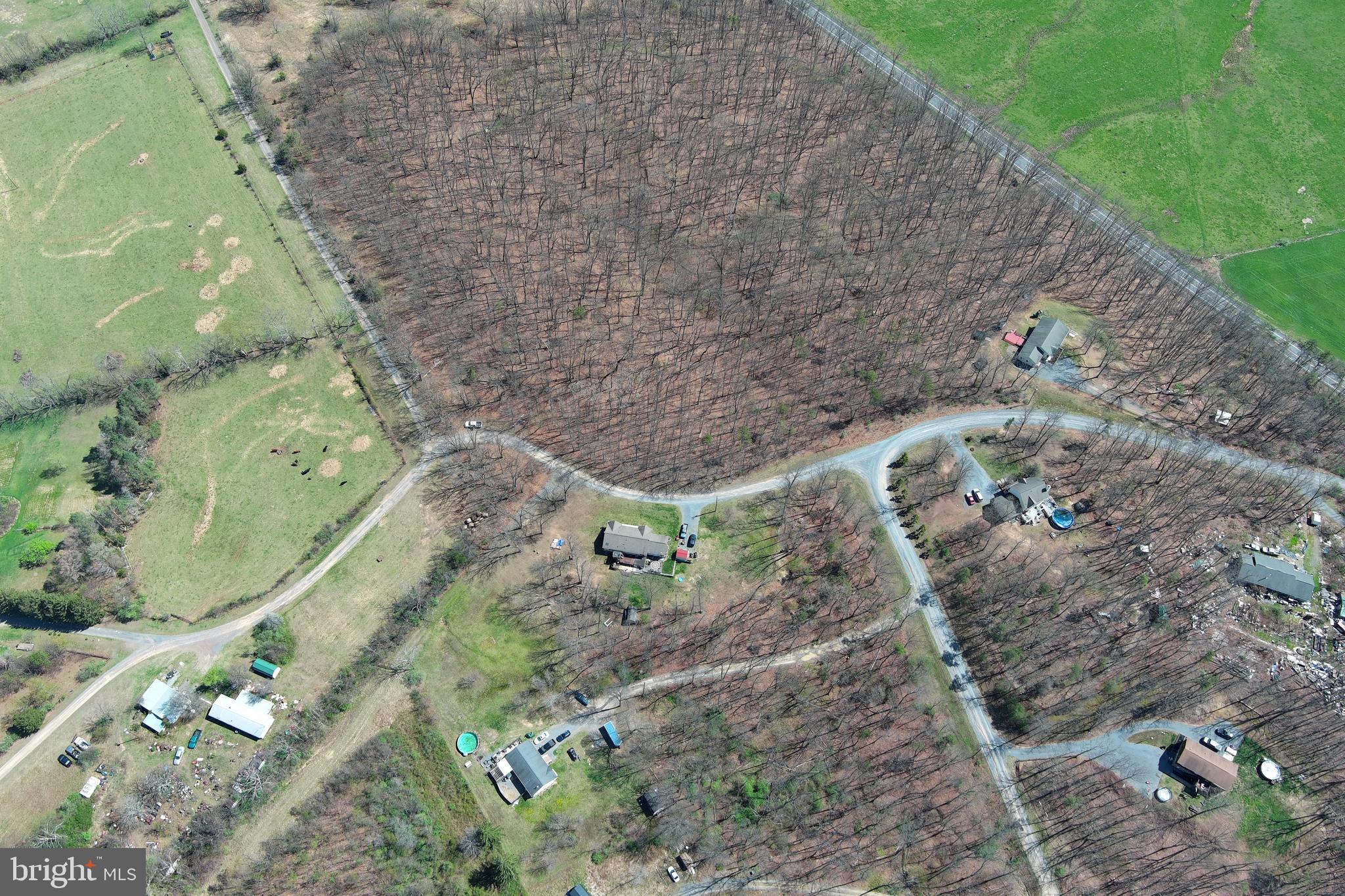 2 Blackthorne Ridge Road Augusta, WV 26704 - Photo 20 of 29 a aerial view of a house with a yard and large tree