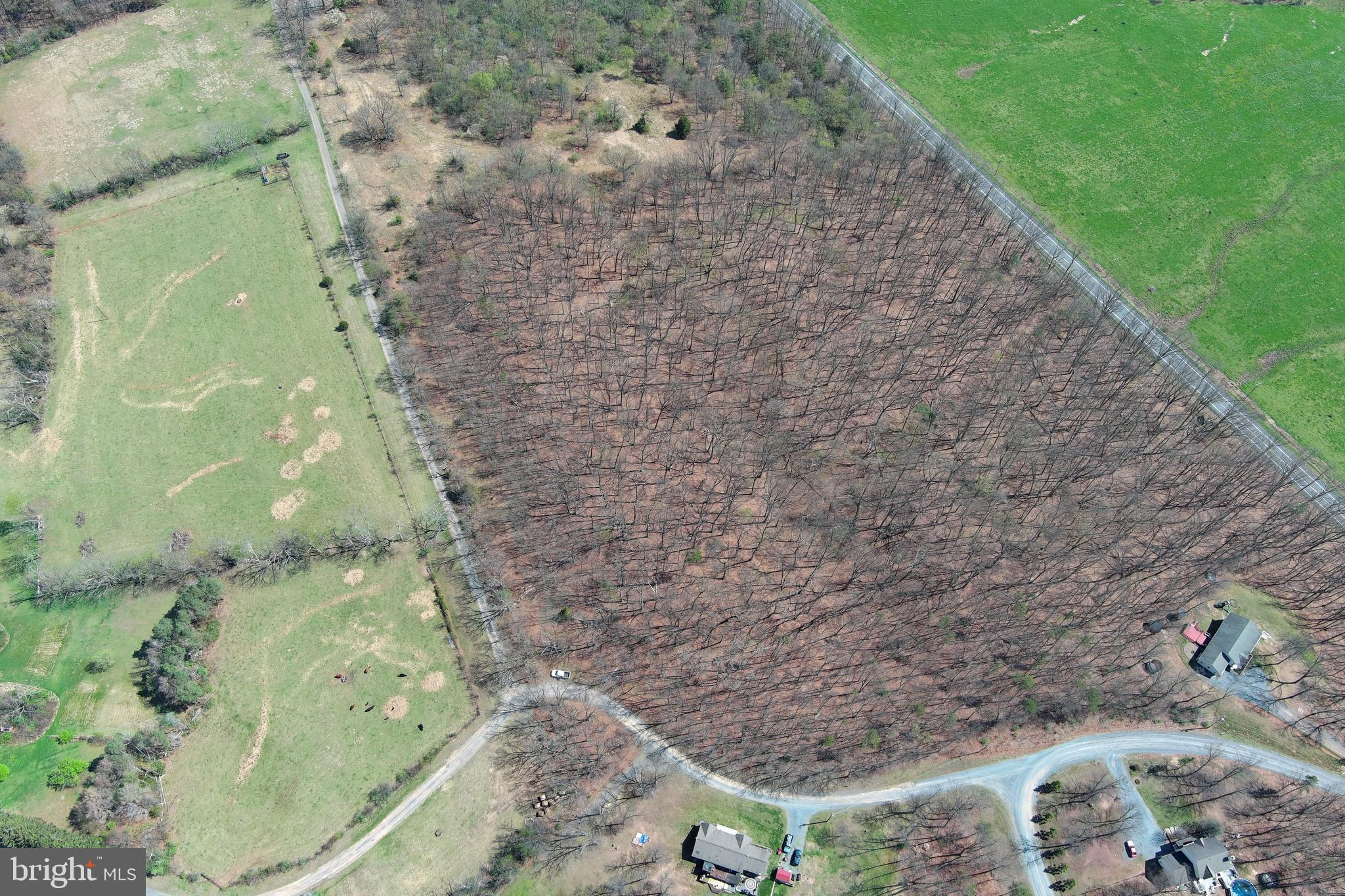 2 Blackthorne Ridge Road Augusta, WV 26704 - Photo 24 of 29