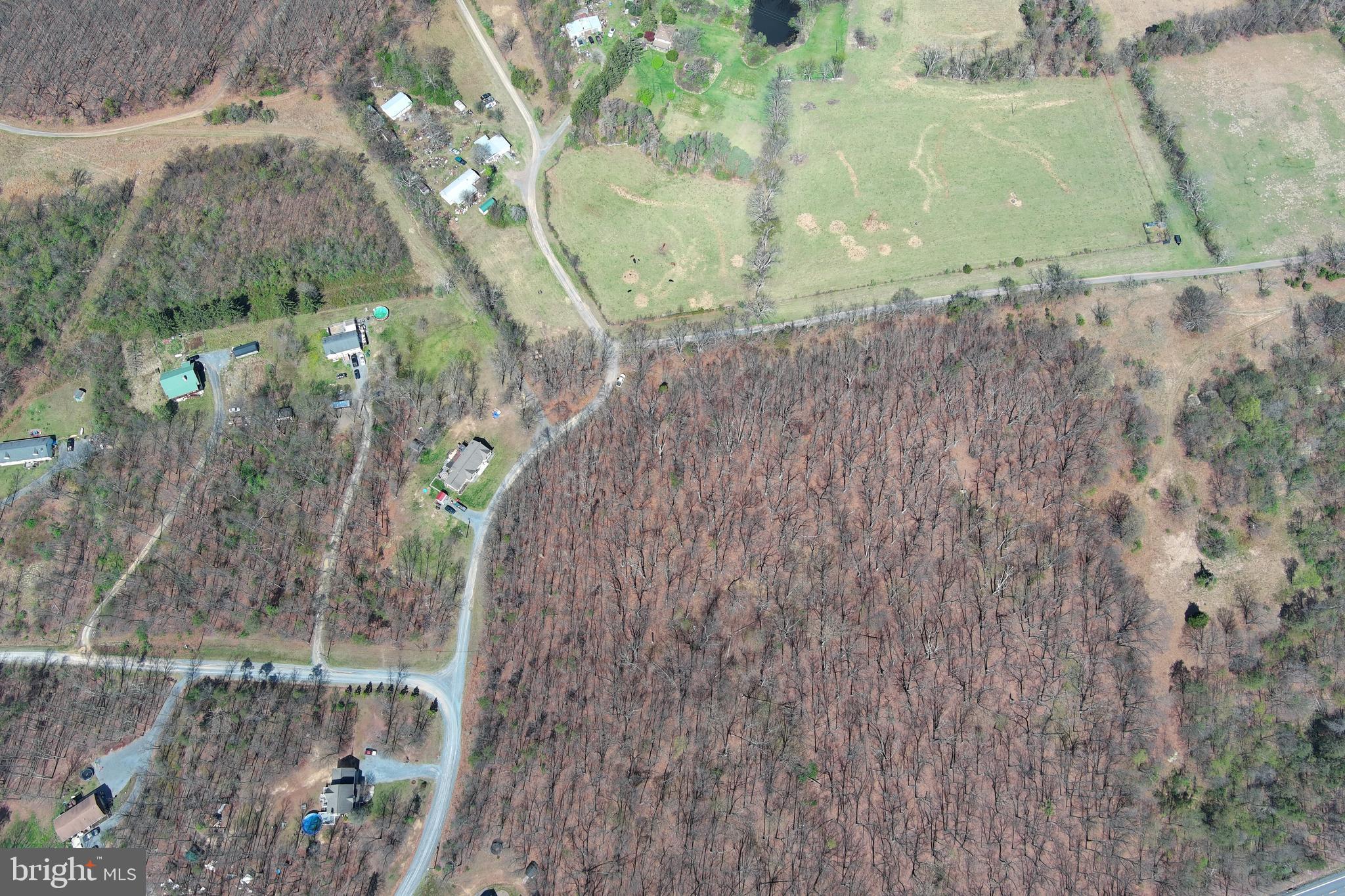 2 Blackthorne Ridge Road Augusta, WV 26704 - Photo 28 of 29 a picture of a tree