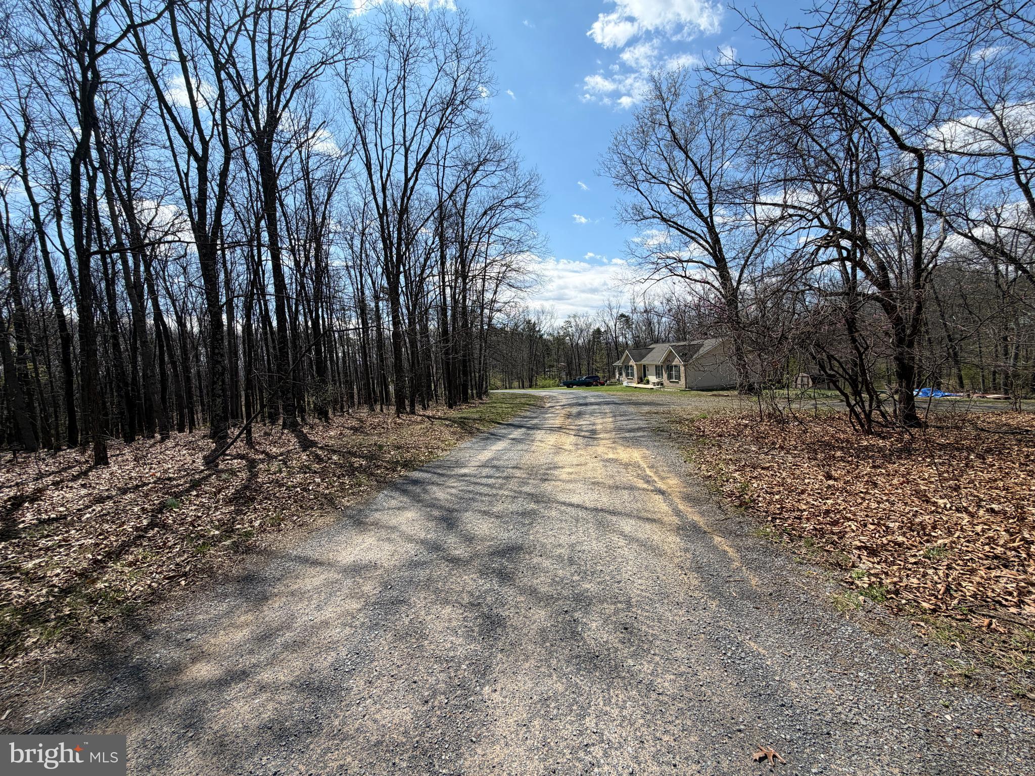 2 Blackthorne Ridge Road Augusta, WV 26704 - Photo 7 of 29 a view of outdoor space with trees