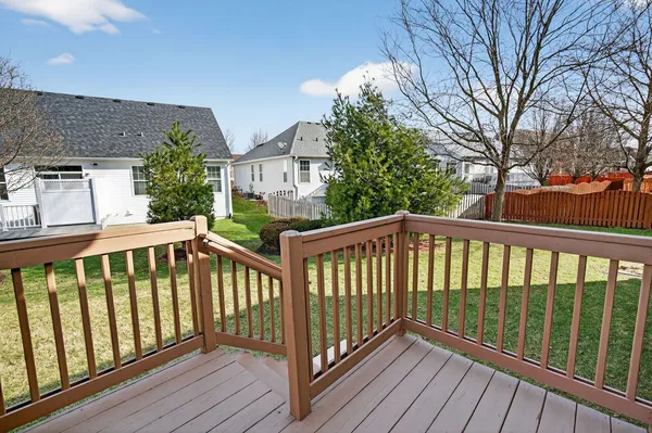 a view of a back yard