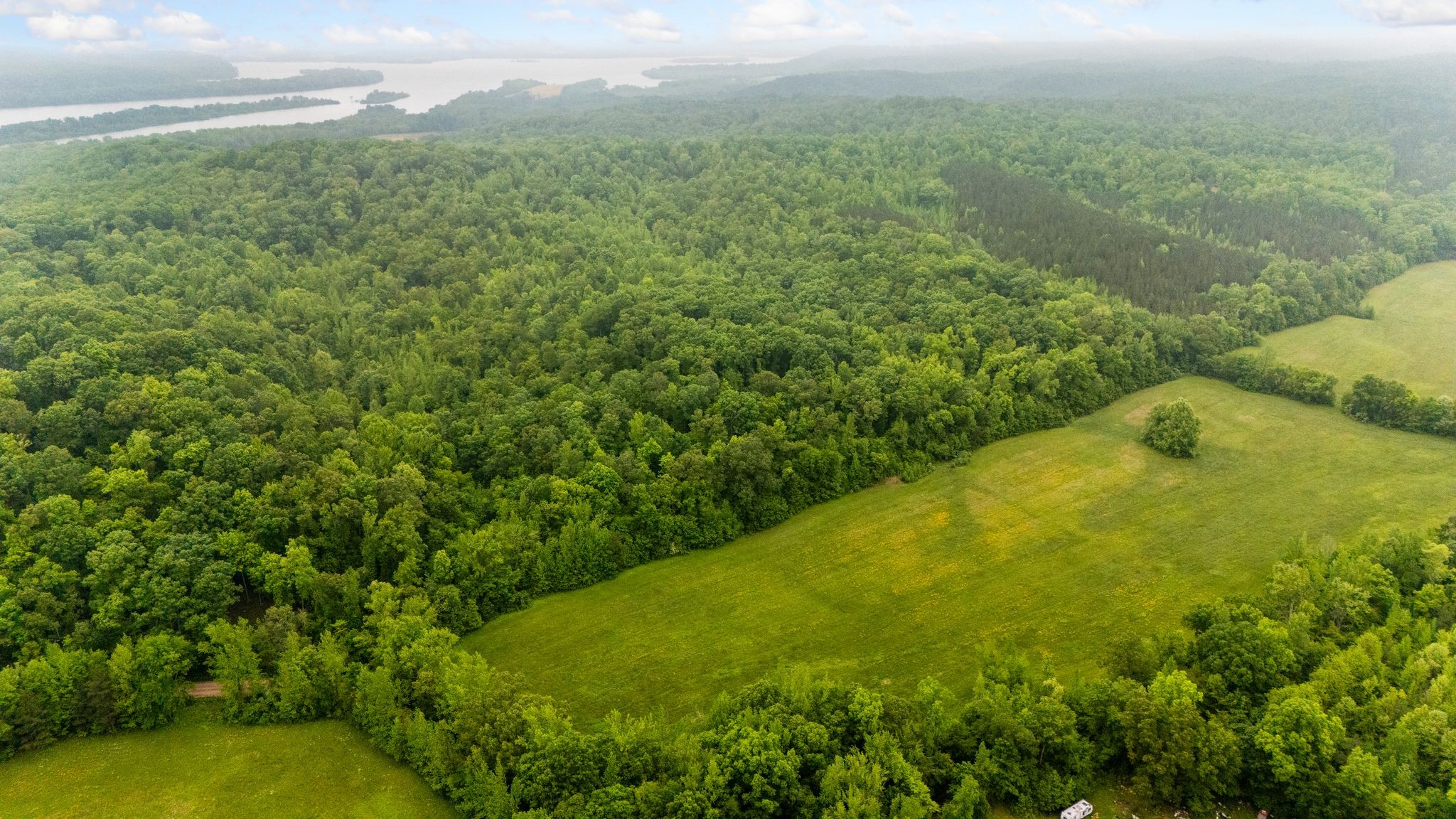 230 Roberts Creek Road Waverly, TN 37185 - Photo 2 of 6
