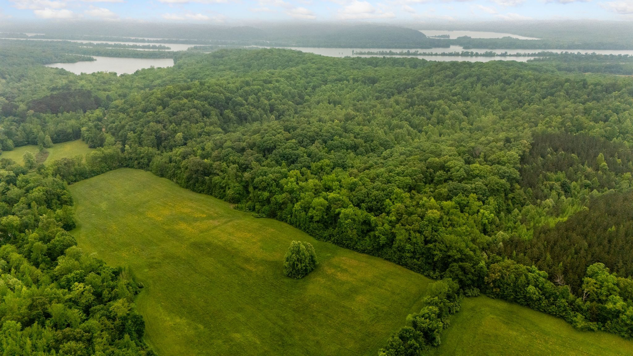 230 Roberts Creek Road Waverly, TN 37185 - Photo 3 of 6