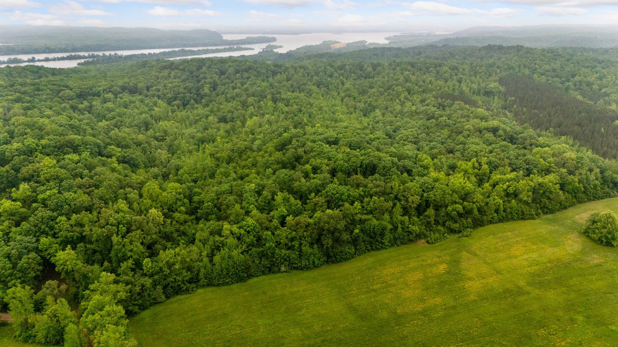 230 Roberts Creek Road Waverly, TN 37185 - Photo 4 of 6