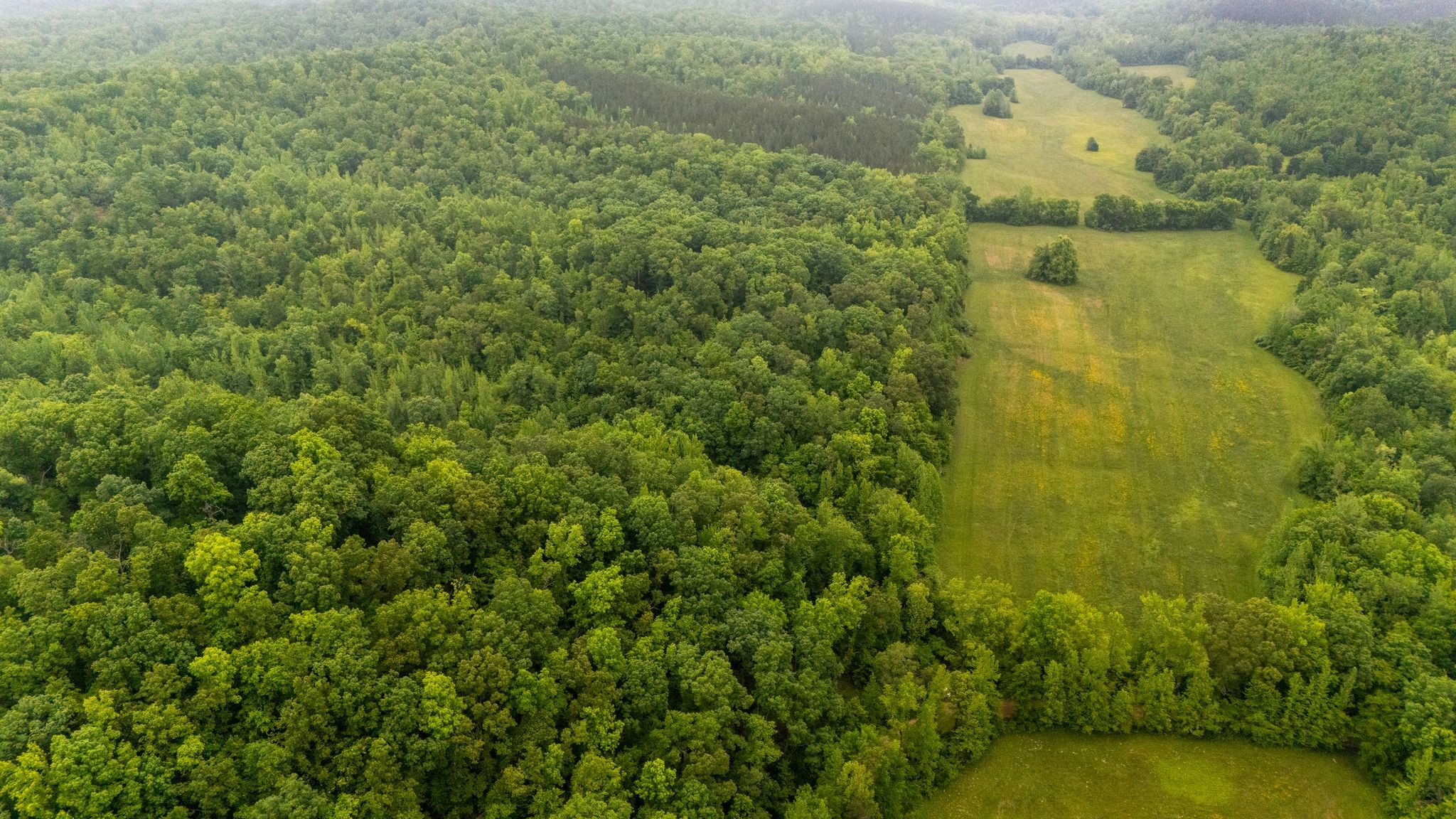 230 Roberts Creek Road Waverly, TN 37185 - Photo 5 of 6