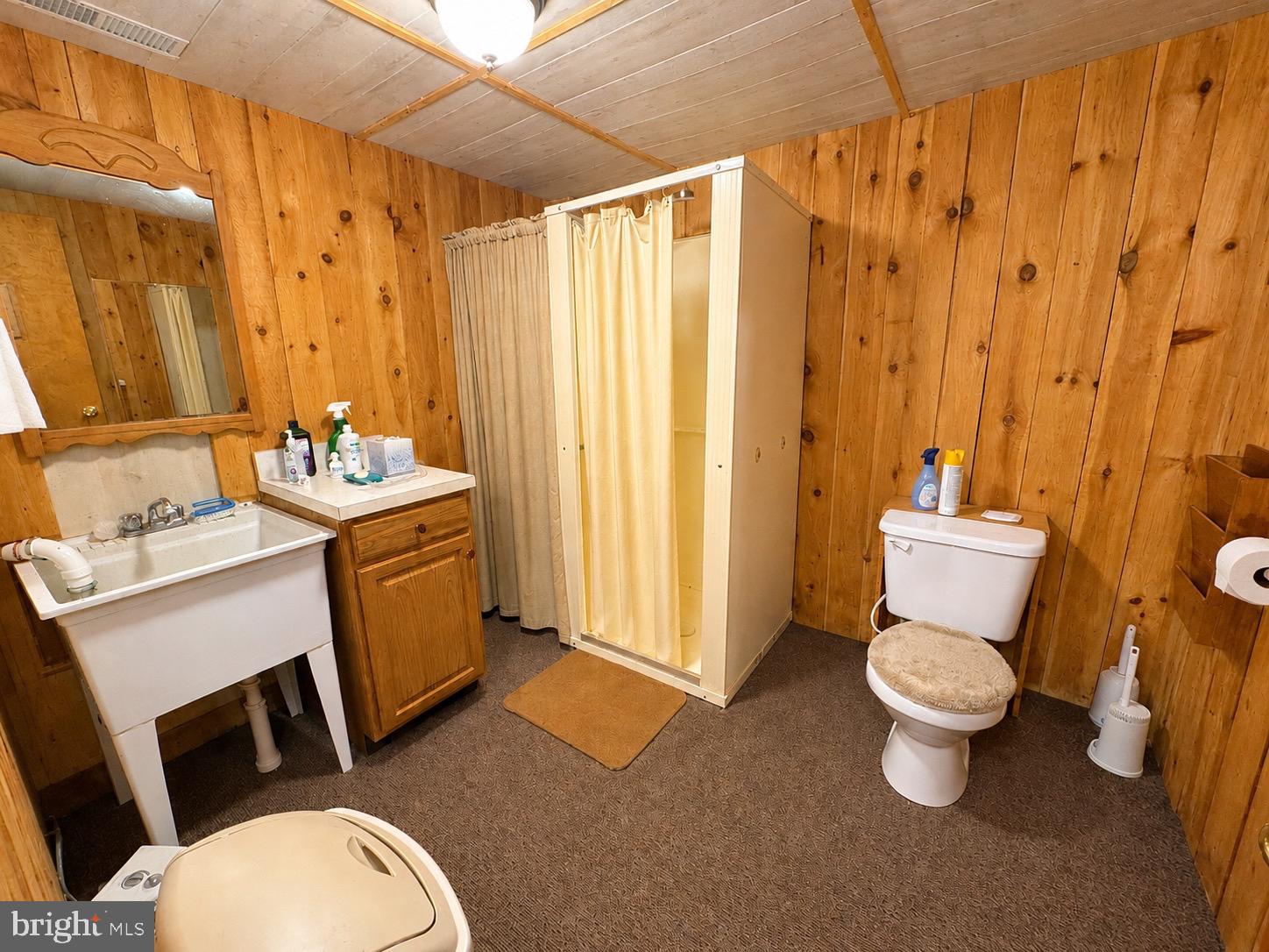 4242 Camp Reed Lane Petersburg, PA 16669 - Photo 63 of 83 3/4 bath basement