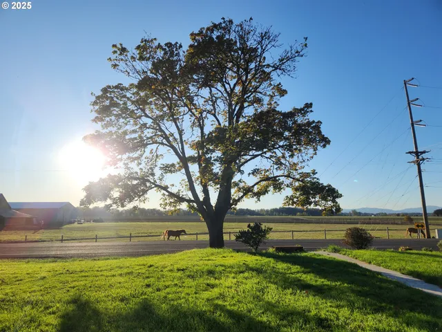 $579,000 | 24315 Peoria Road, Harrisburg, OR 97446