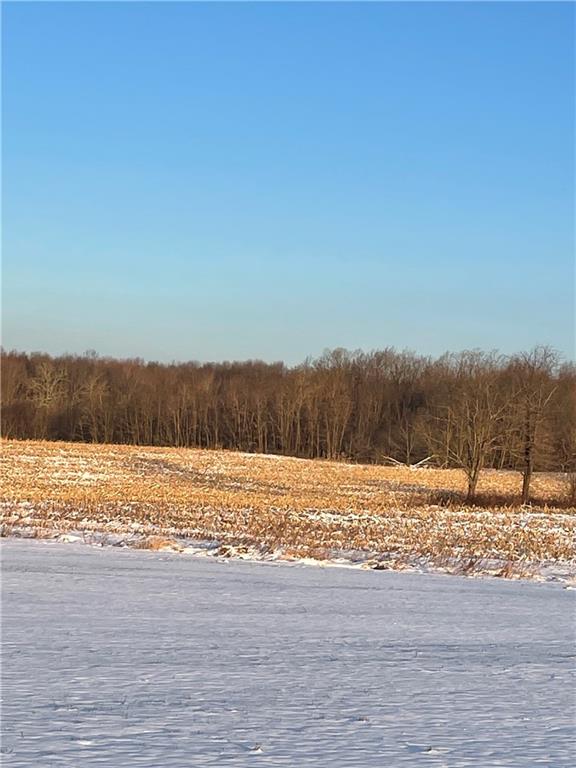 0 South Vernon Road Mercer, PA 16137 - Photo 5 of 9