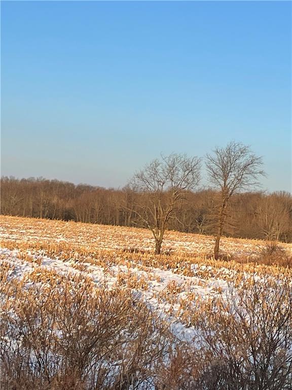 0 South Vernon Road Mercer, PA 16137 - Photo 7 of 9