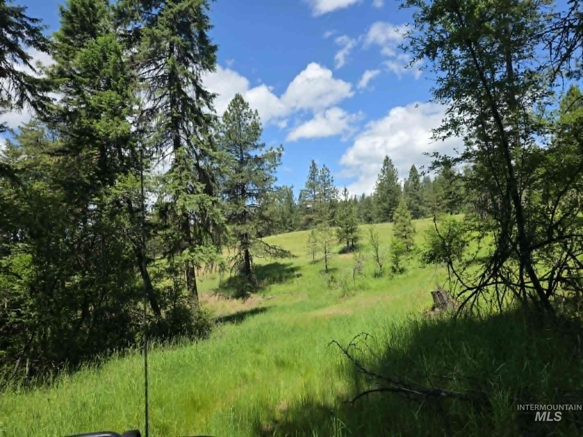 3871 Lakeview Road Orofino, ID 83544 - Photo 37 of 49