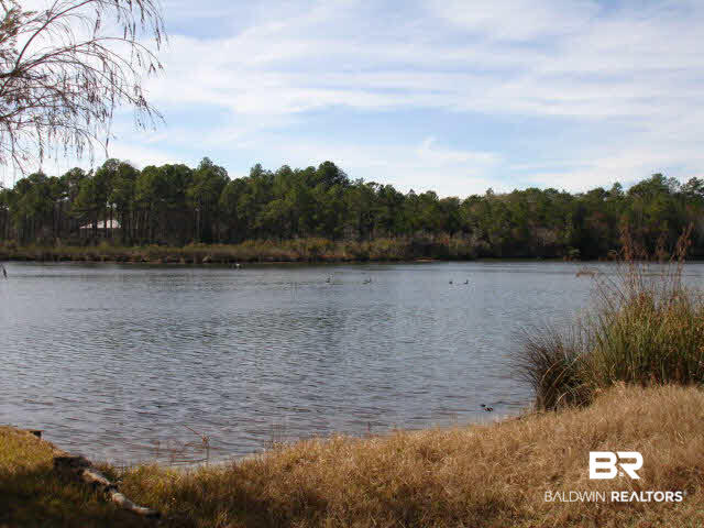 9305 Bay Point Drive Elberta, AL 36530 - Photo 5 of 45 WOLF CREEK