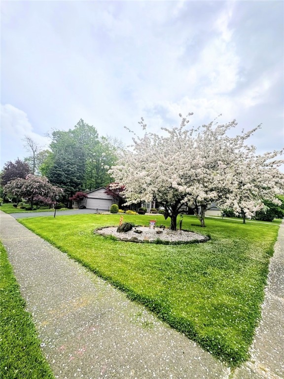 237 Creighton Lane Greece, NY 14612 - Photo 28 of 29