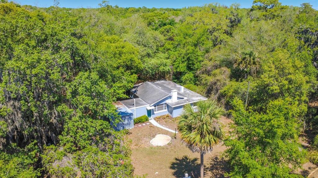 3508 Rouse Road Orlando, FL 32817 - Photo 43 of 47