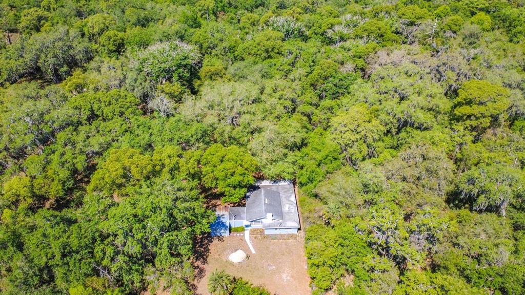 3508 Rouse Road Orlando, FL 32817 - Photo 44 of 47