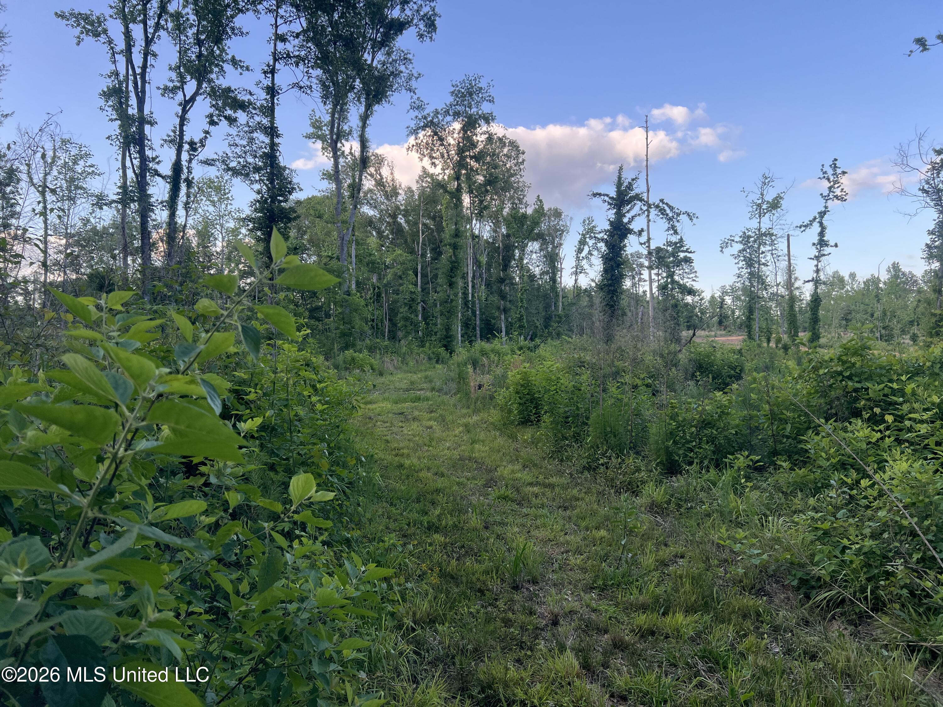 5734 Hebron Road Liberty, MS 39645 - Photo 12 of 32 12.