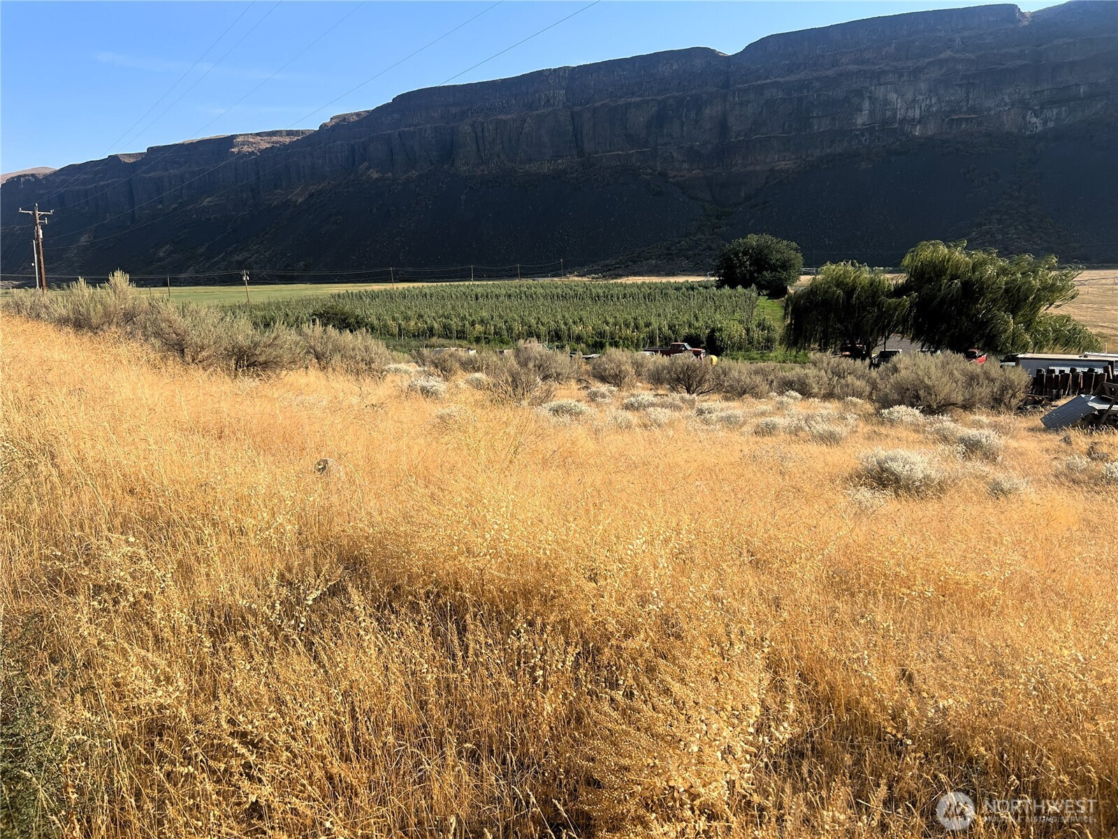 131 Wagon Road Palisades, WA 98845 - Photo 16 of 21 a view of backyard and outdoor space
