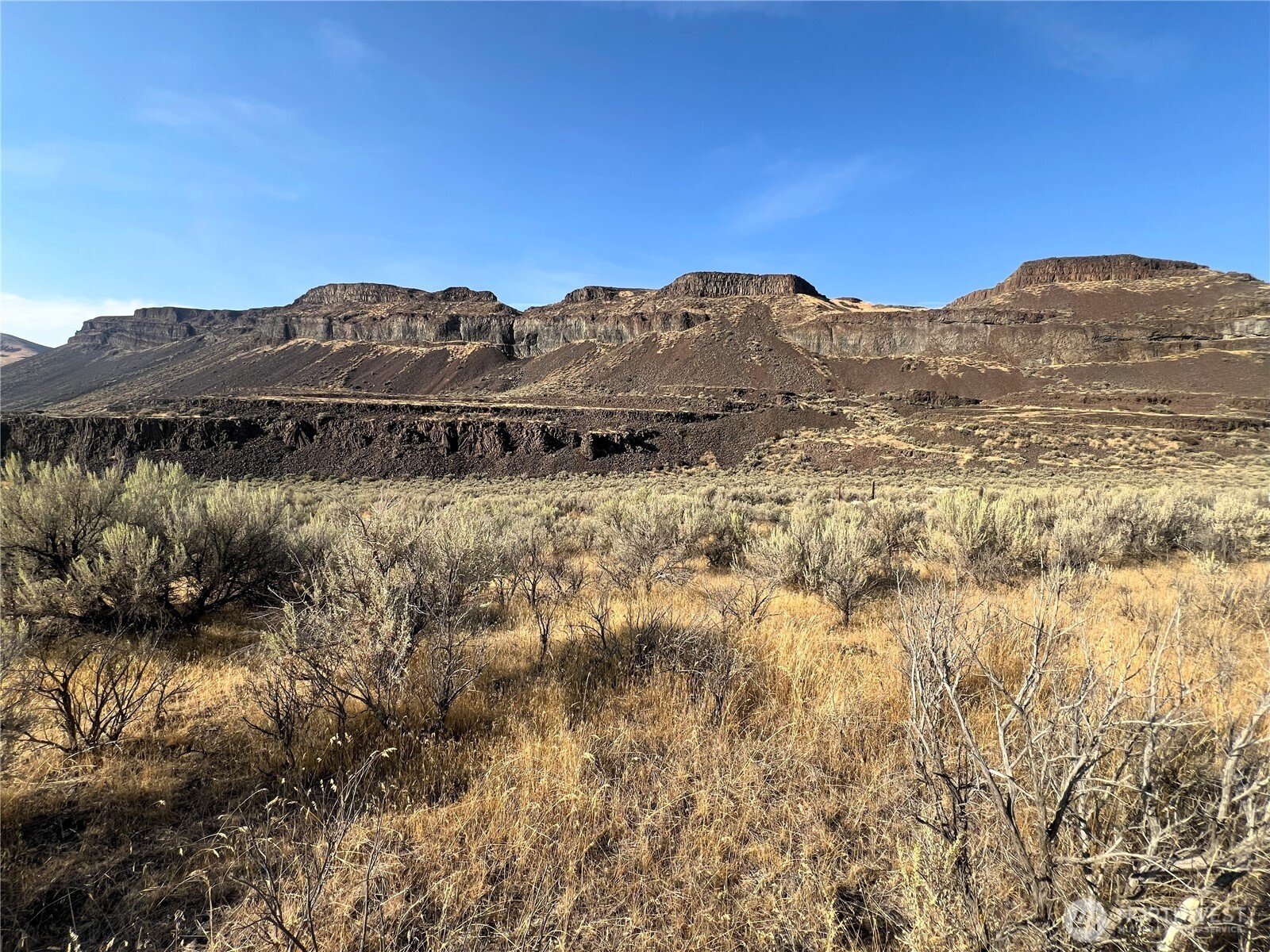 131 Wagon Road Palisades, WA 98845 - Photo 5 of 21 a view of ocean with a mountain