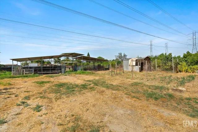 a view of a yard with plants and a tree