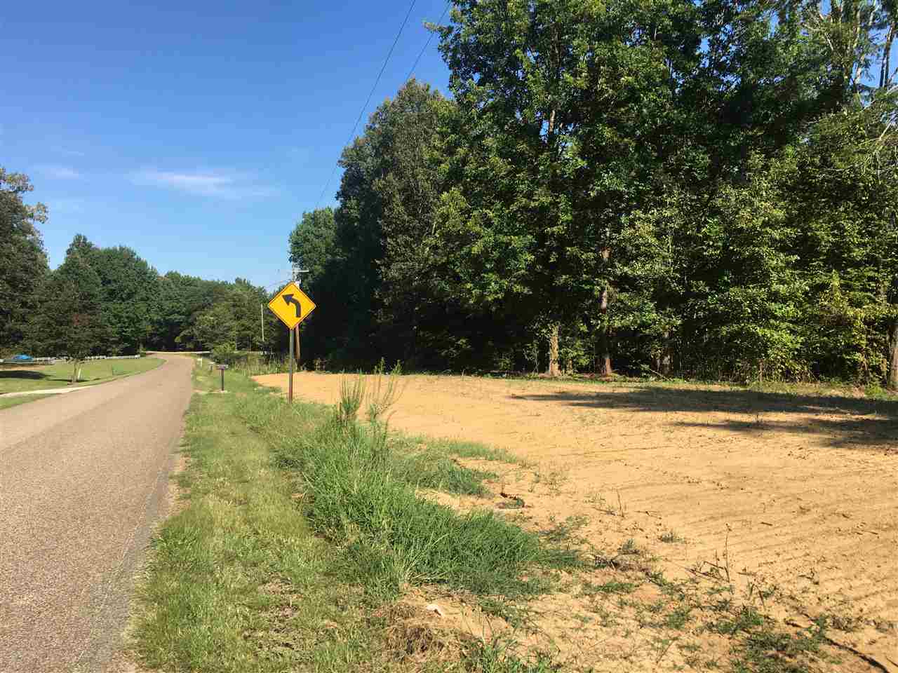 Randolph Road Burlison, TN 38015 - Photo 4 of 8 Gallery Image 4