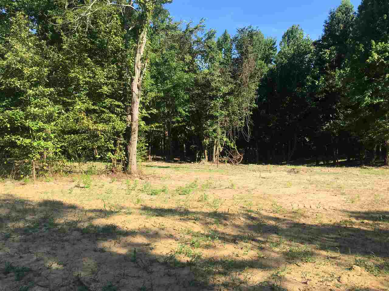 Randolph Road Burlison, TN 38015 - Photo 5 of 8 Gallery Image 5
