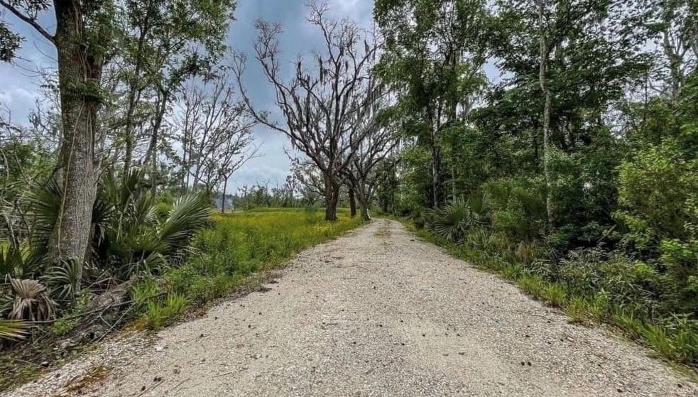 1309 Jean Lafitte Boulevard Jean Lafitte, LA 70067 - Photo 2 of 20