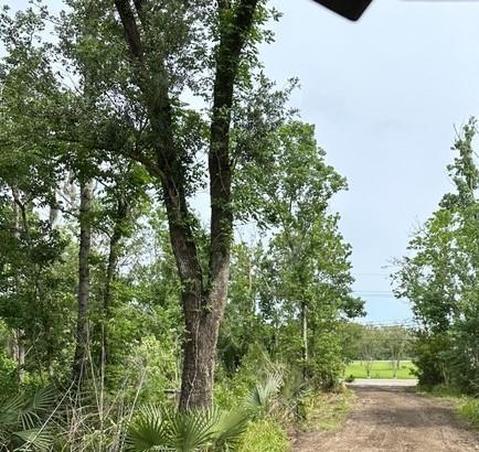 1309 Jean Lafitte Boulevard Jean Lafitte, LA 70067 - Photo 3 of 20