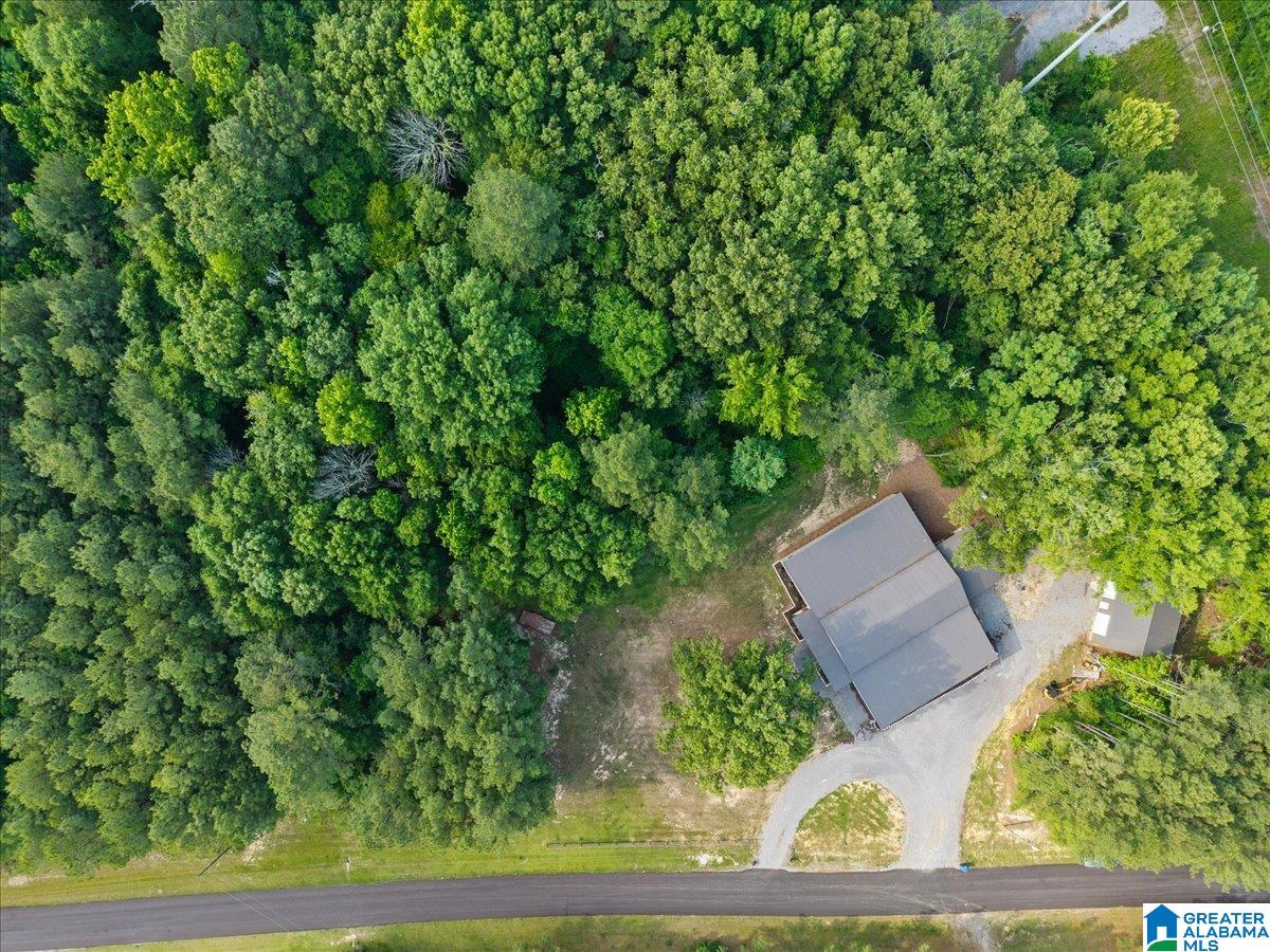 665 Stolle Farm Road Ashville, AL 35953 - Photo 68 of 77