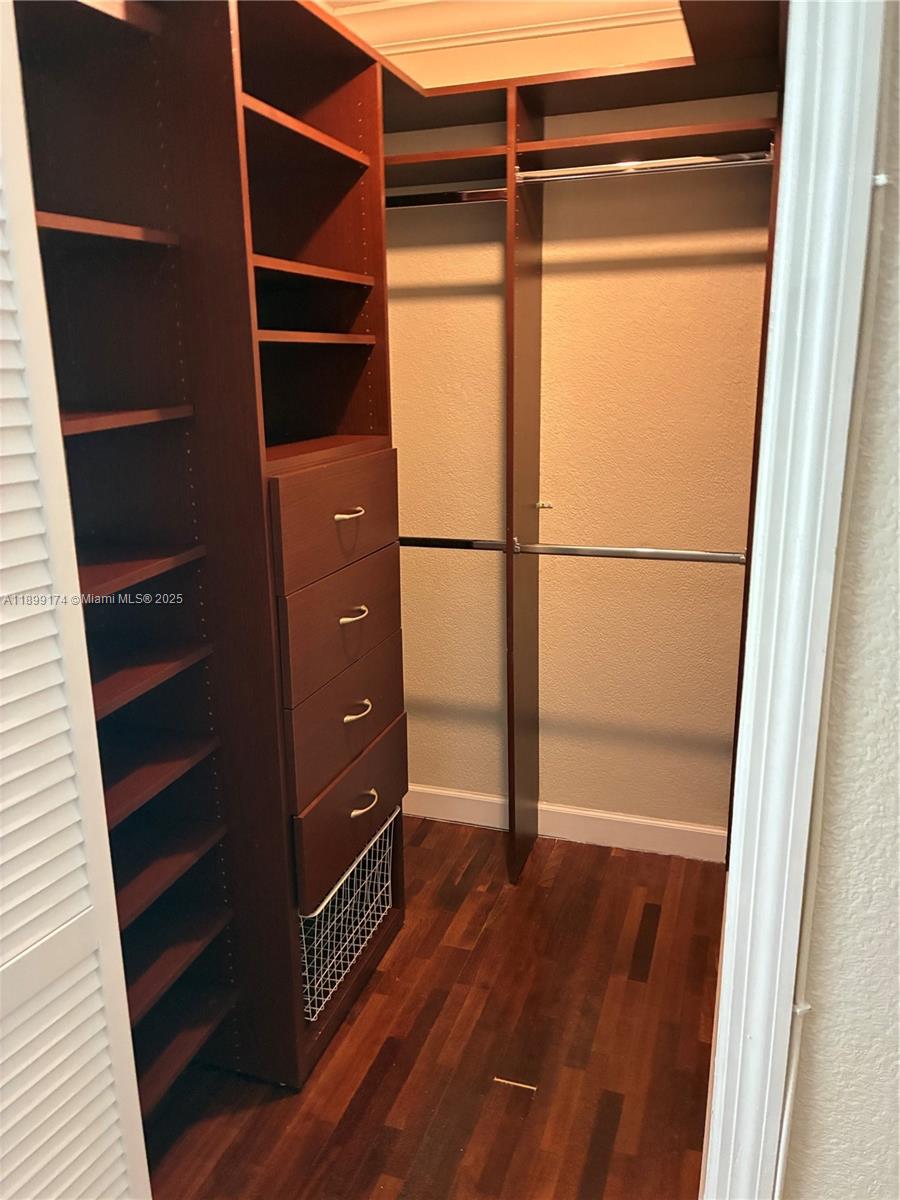 10010 Northwest 9th St Circle, Unit 1036 Miami, FL 33172 - Photo 17 of 25 a view of walk in closet with empty racks