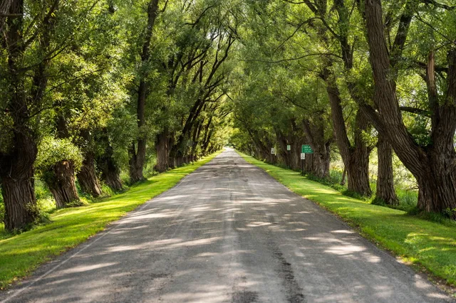 $550,000 | 211 Bluff Avenue, Eastlake, MI 49626