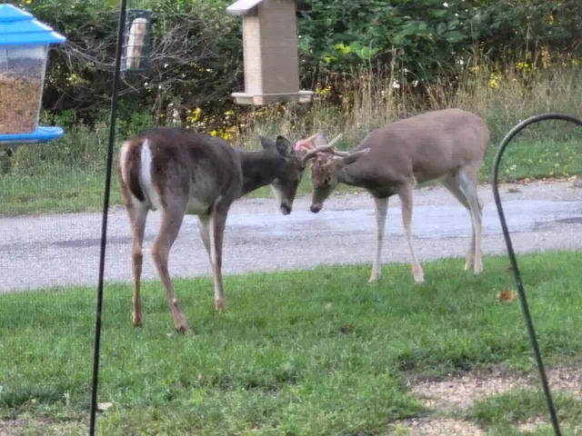 $550,000 | 211 Bluff Avenue, Eastlake, MI 49626